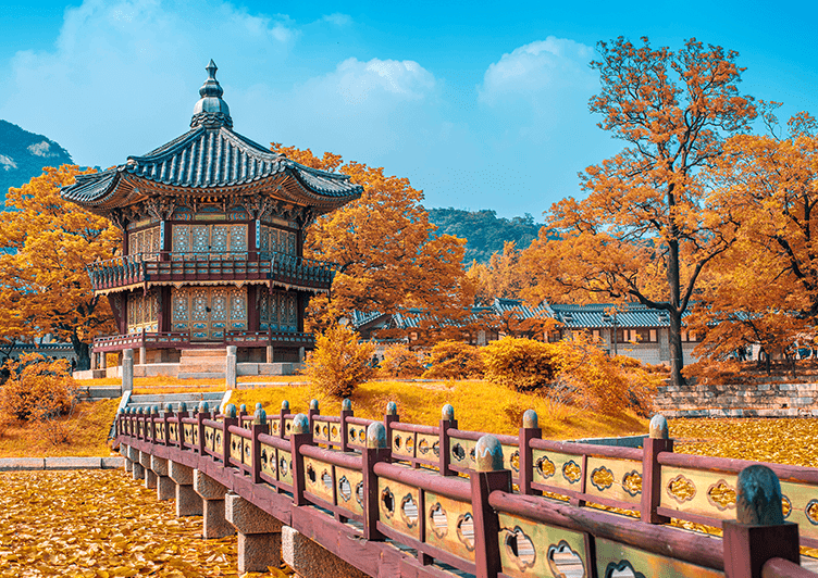 Dongdaegu to Seoul