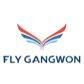 Fly Gangwon