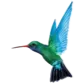 Caribbean Airlines logo