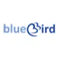 Blue Bird Airways