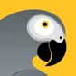 Fastjet Airlines logo