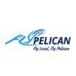 FlyPelican