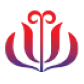 JC International Airline