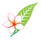 ラオス国営航空 logo