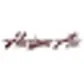 Horizon Air