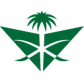 サウディア(Saudia)