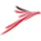 Taca Airlines