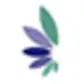 Air Caledonie