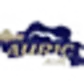 Auric Air logo