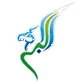 طيران البراق