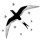 Asian Wings Airways