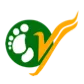 Yetiairlines logo