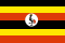 UG